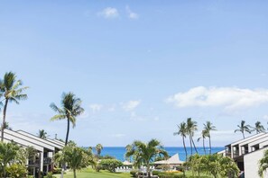 Property grounds - Beautiful Modern Decor in a Light-Filled Condo, Hale Kamaole, Steps to Beach (Kihei)