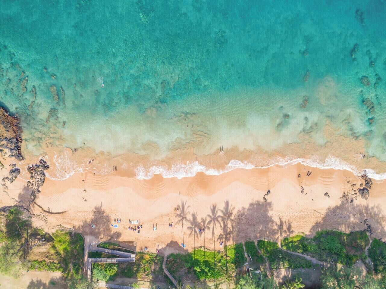 Sun-loungers, beach towels