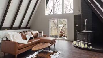Smart TV, fireplace, books, music library