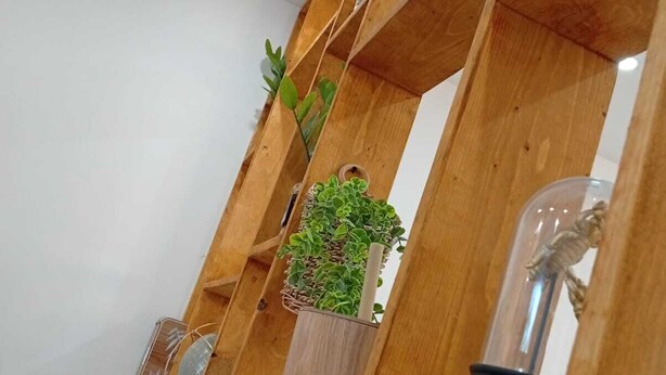Et hyggeligt reolsystem i træ med en hængende plante, en dekorativ glasfigur og en lille plante i en vase.