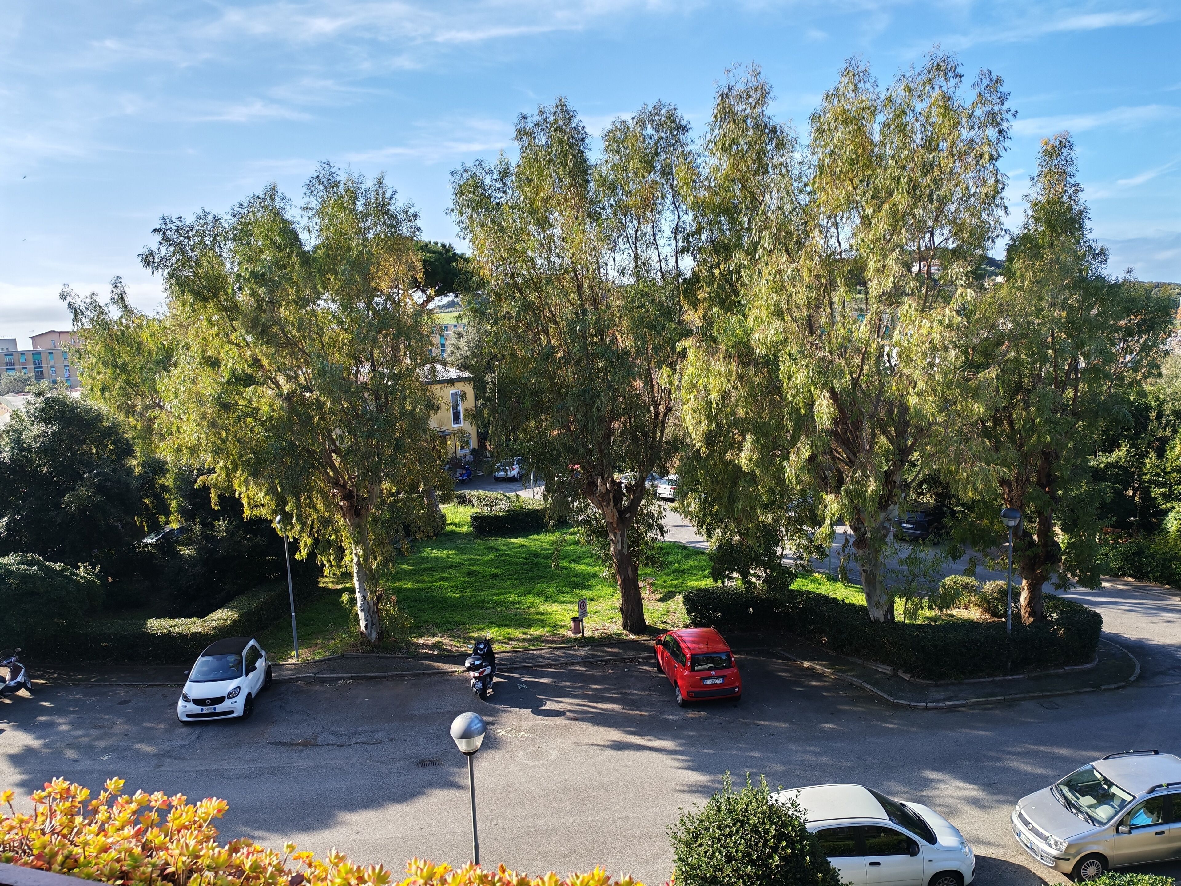 A street view with parked cars, trees, and a building in the background.