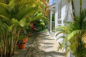 Property grounds - Mar-e-Sol @ THE BEACH & TOWN - Top Location (Las Terrenas)