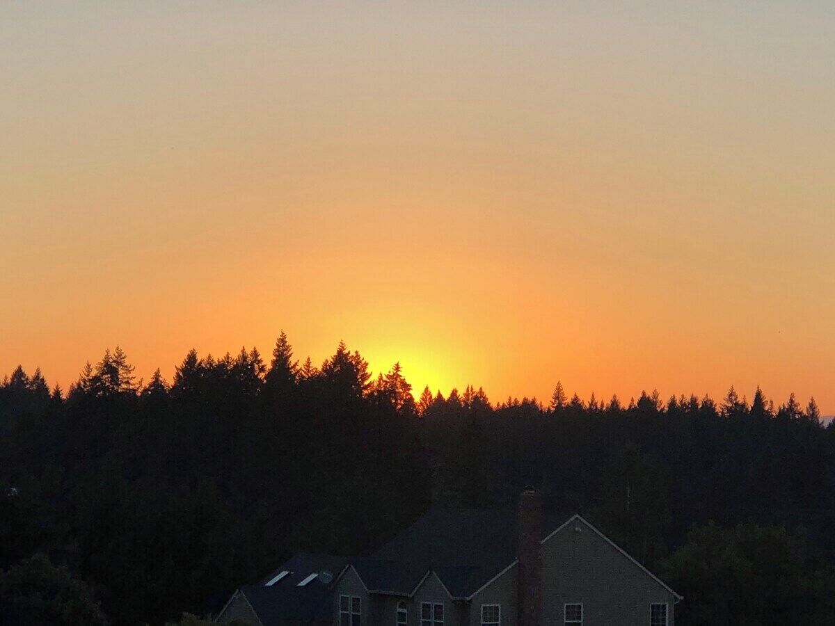 Um pôr do sol sobre uma floresta, com uma casa ao primeiro plano.