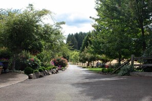 Eine gepflasterte Straße, gesäumt von üppiger Vegetation und einem Holzzaun.