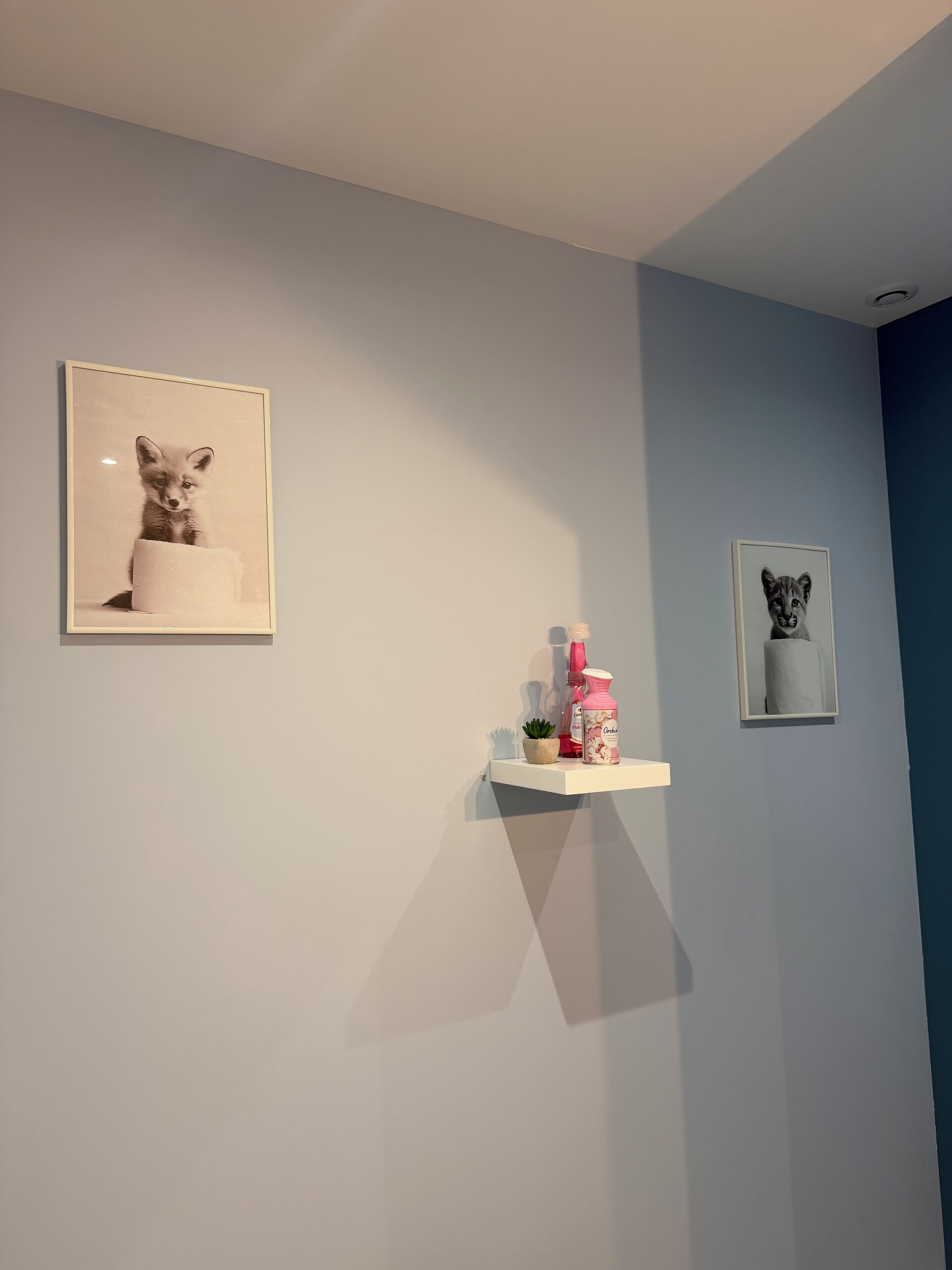 Une pièce avec un mur bleu clair, une étagère blanche ornée d’une petite plante et deux tableaux encadrés représentant des animaux.