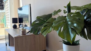 Ett modernt vardagsrum med en stor monsteraplanta i en kruka, ett soffbord i trä, en tv på ett tv-bord och en minimalistisk inredningsstil.