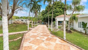 A paved pathway leading to a white building with a tiled roof, surrounded by palm trees and greenery. - Unique Retro house with pool (Aguadilla)