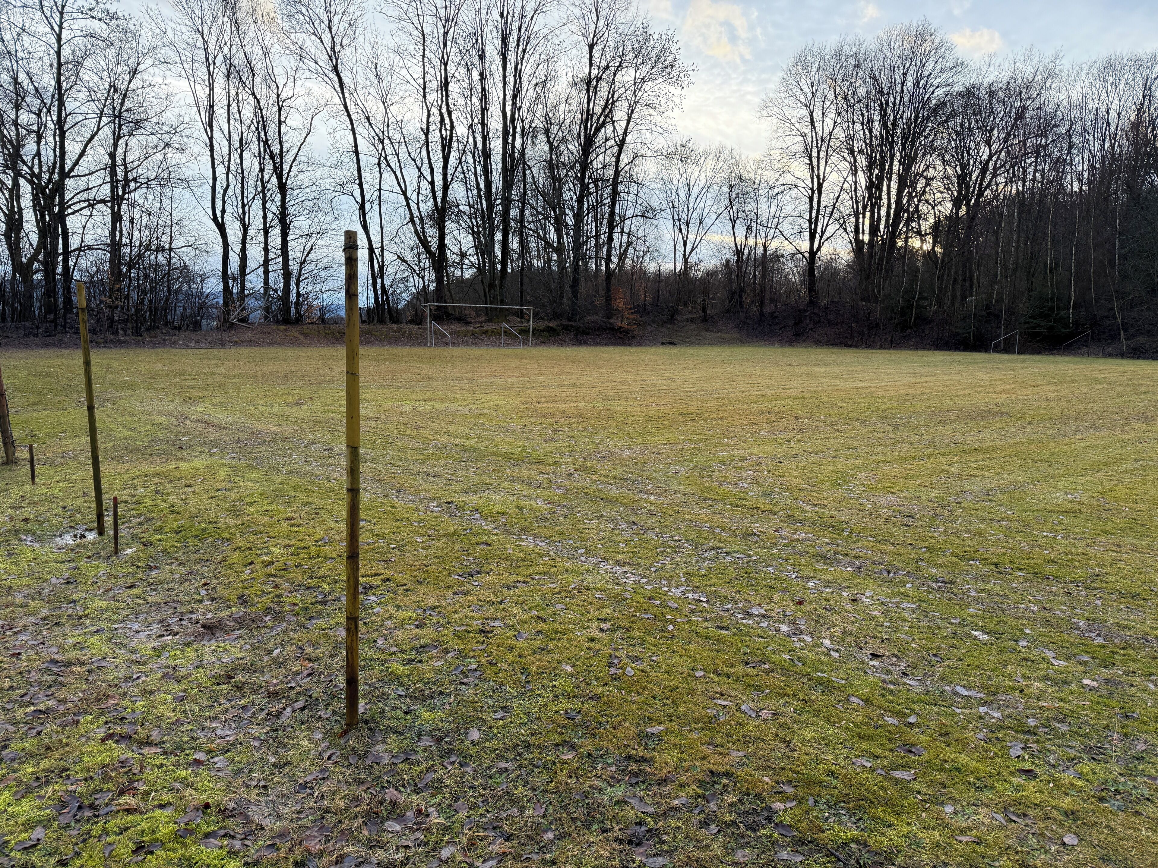 Un vaste champ herbeux, avec quelques arbres et un poteau de but au loin.