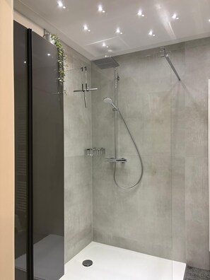 Ducha, secador de pelo, toallas y jabón