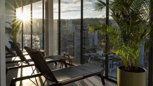 A balcony with a view of a cityscape, a large potted plant, and two lounge chairs. - Luminous suite - Amenities and view in Salvador (Quito)