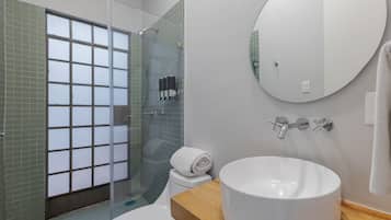 Shower, hair dryer, shampoo