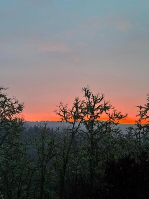 Miscellaneous - Darlingwood  (Yamhill)