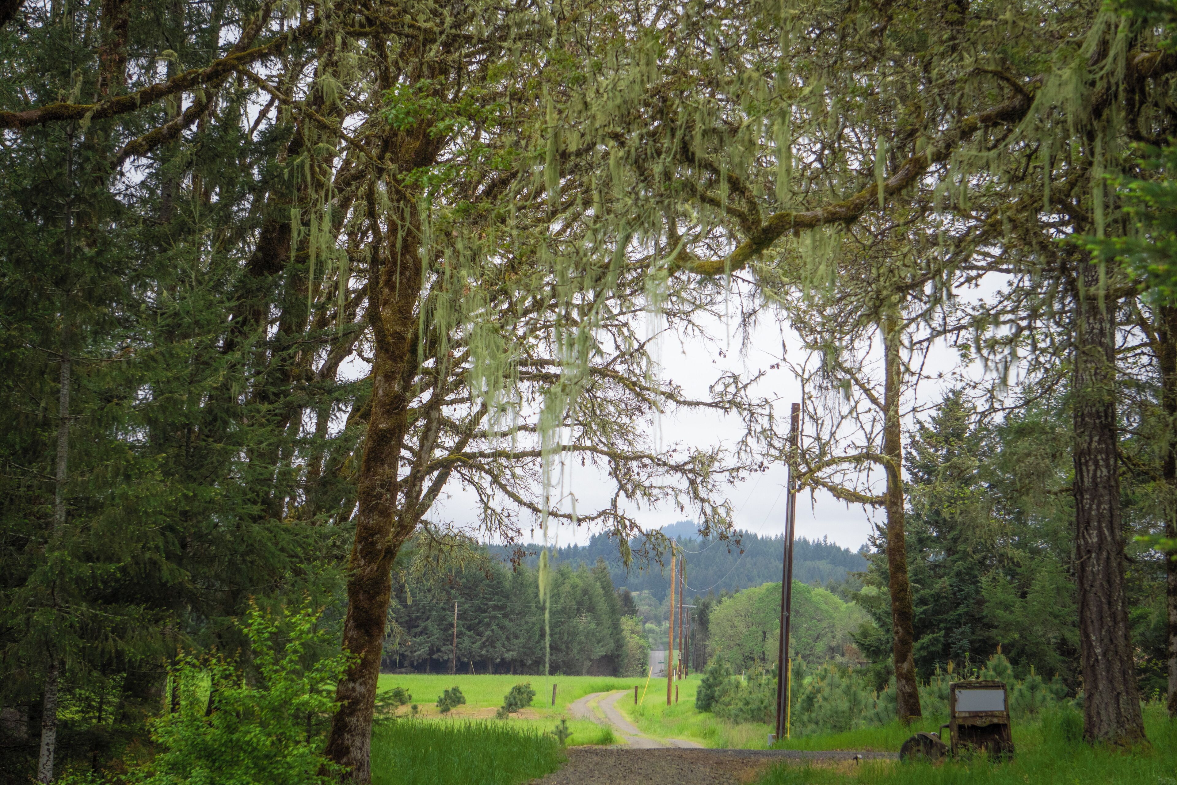Vue sur le paysage depuis l’hébergement 