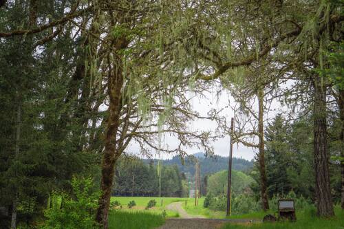 Vue sur le paysage depuis l’hébergement
