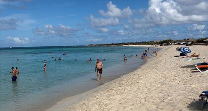 3-bedroom 2 bath villa private pool in Noord 5 min drive to beach