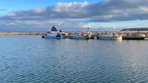 Ein Hafen mit mehreren Booten, die an einem Steg festgemacht sind.