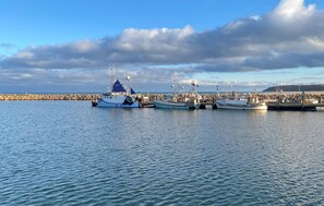 Marina - Nice home in Glesborg with WiFi (Glesborg)