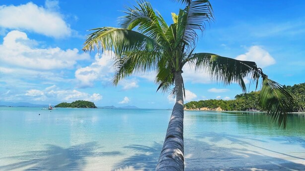 A clear view of a palm tree trunk leading to a sandy beach with calm waters and a distant island. - Baia beachfront boutique lodge (San Vicente)