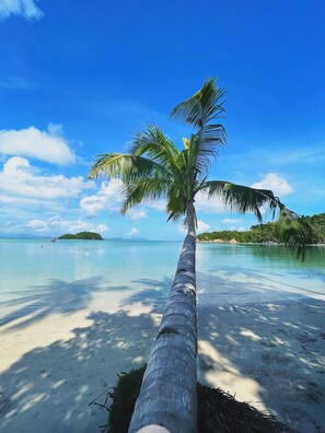A clear view of a palm tree trunk leading to a sandy beach with calm waters and a distant island. - Baia beachfront boutique lodge (San Vicente)