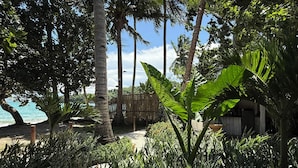 A tropical garden with palm trees and lush greenery, leading to a beach. - Baia beachfront boutique lodge (San Vicente)
