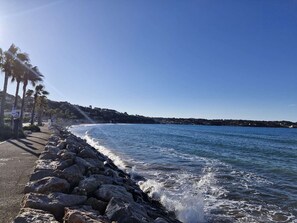 A coastal road with a rocky sea wall, palm trees, and a clear blue sky. - Renovated city center apartment - 5 guests (Sanary-sur-Mer)