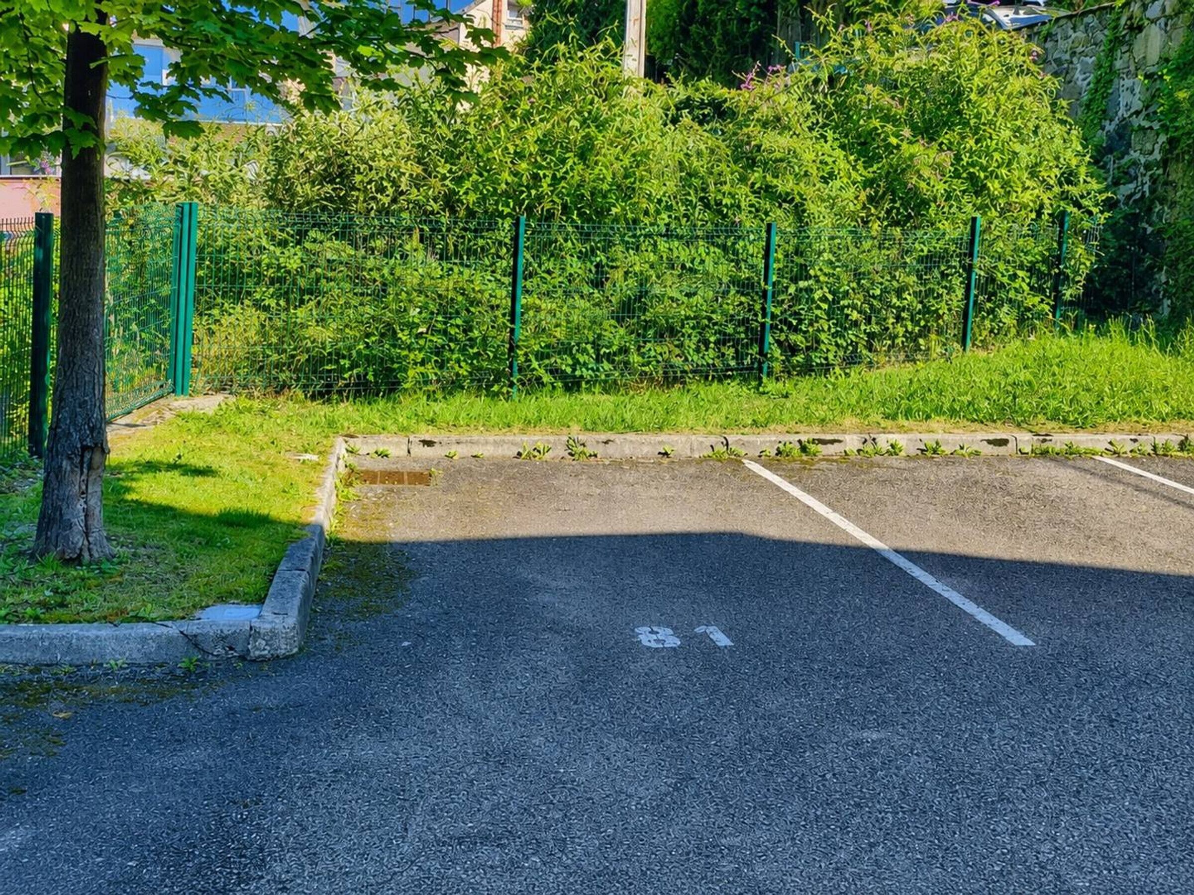En parkeringsplats med ett träd och ett grönt staket.