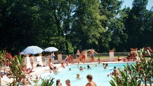 A swimming pool surrounded by lush greenery and trees.