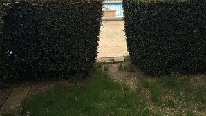 A pathway flanked by dense hedges leading to a building entrance. - Charming T2 sea view - 4 guests (Le CAP D'AGDE)