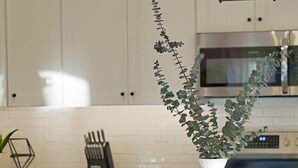 A kitchen with white cabinets, a granite countertop, a white vase with green plants, and a hanging light fixture. - Cozy Cottage 4BR. in the Heart of Huntersville (Huntersville)