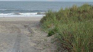 Ein Strandweg mit Gras rechts und dem Meer im Hintergrund.