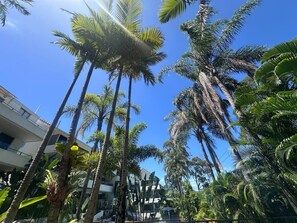 Property grounds - Bright Ocean Horizon Escape (Noosa Heads)