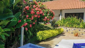 Terrein van de accommodatie