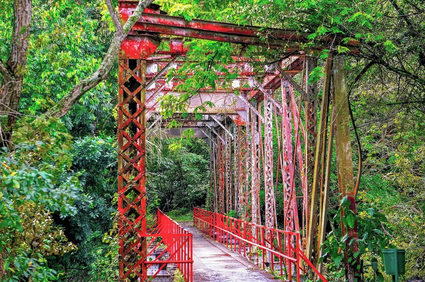 Un ponte di metallo rosso con un percorso pedonale, circondato da fitta vegetazione verde.