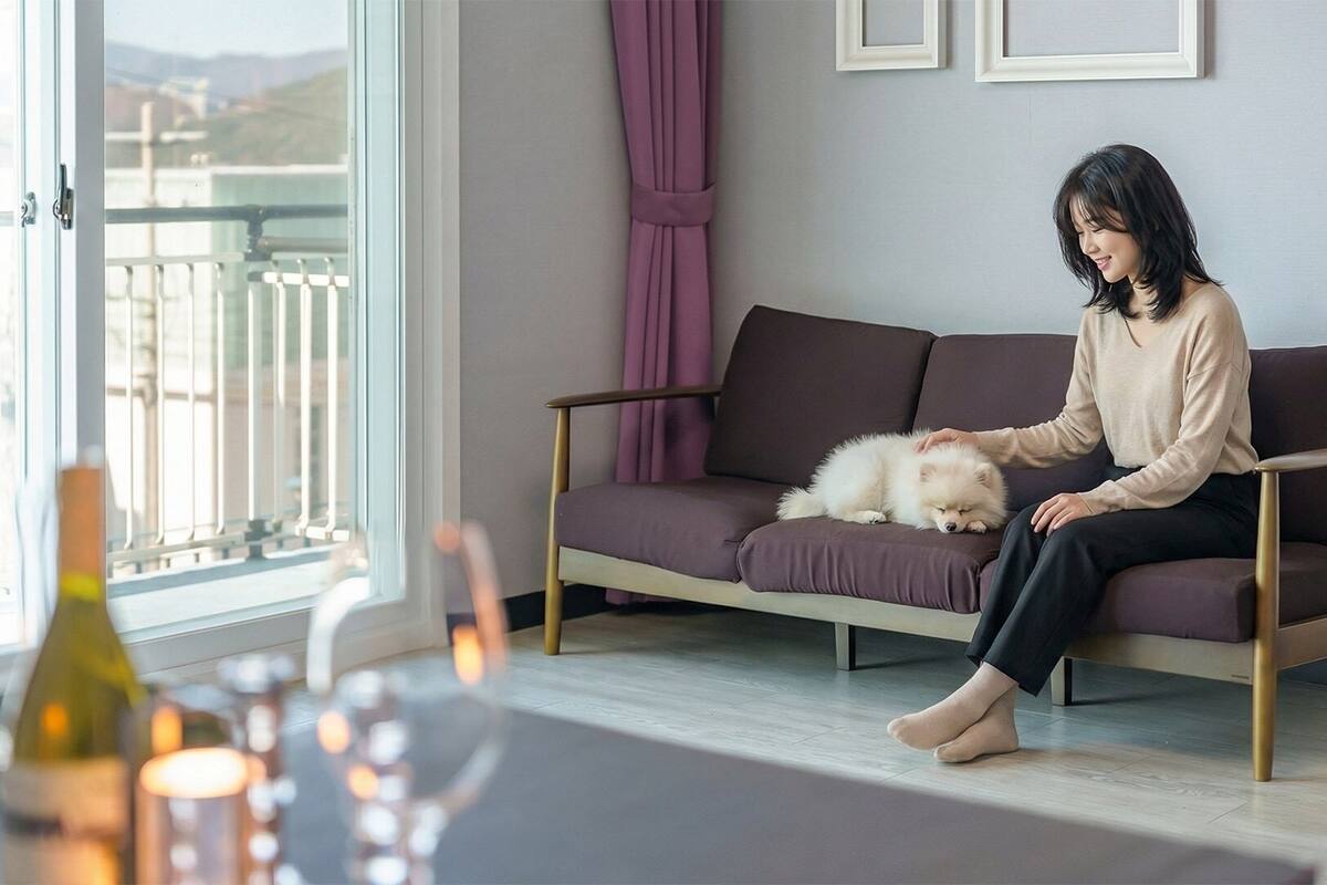 A person sitting on a sofa with a fluffy dog, a window with curtains, and a table with candles.