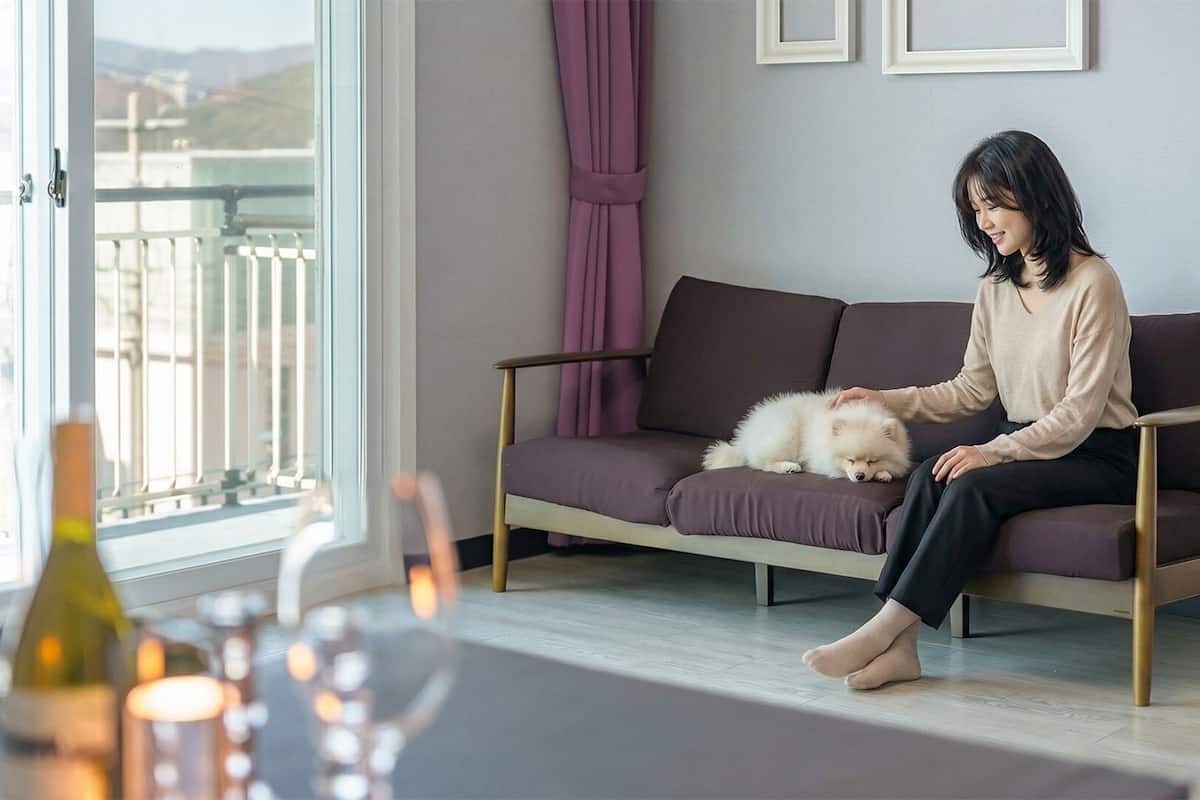 A person sitting on a sofa with a fluffy dog, a window with curtains, and a table with candles.