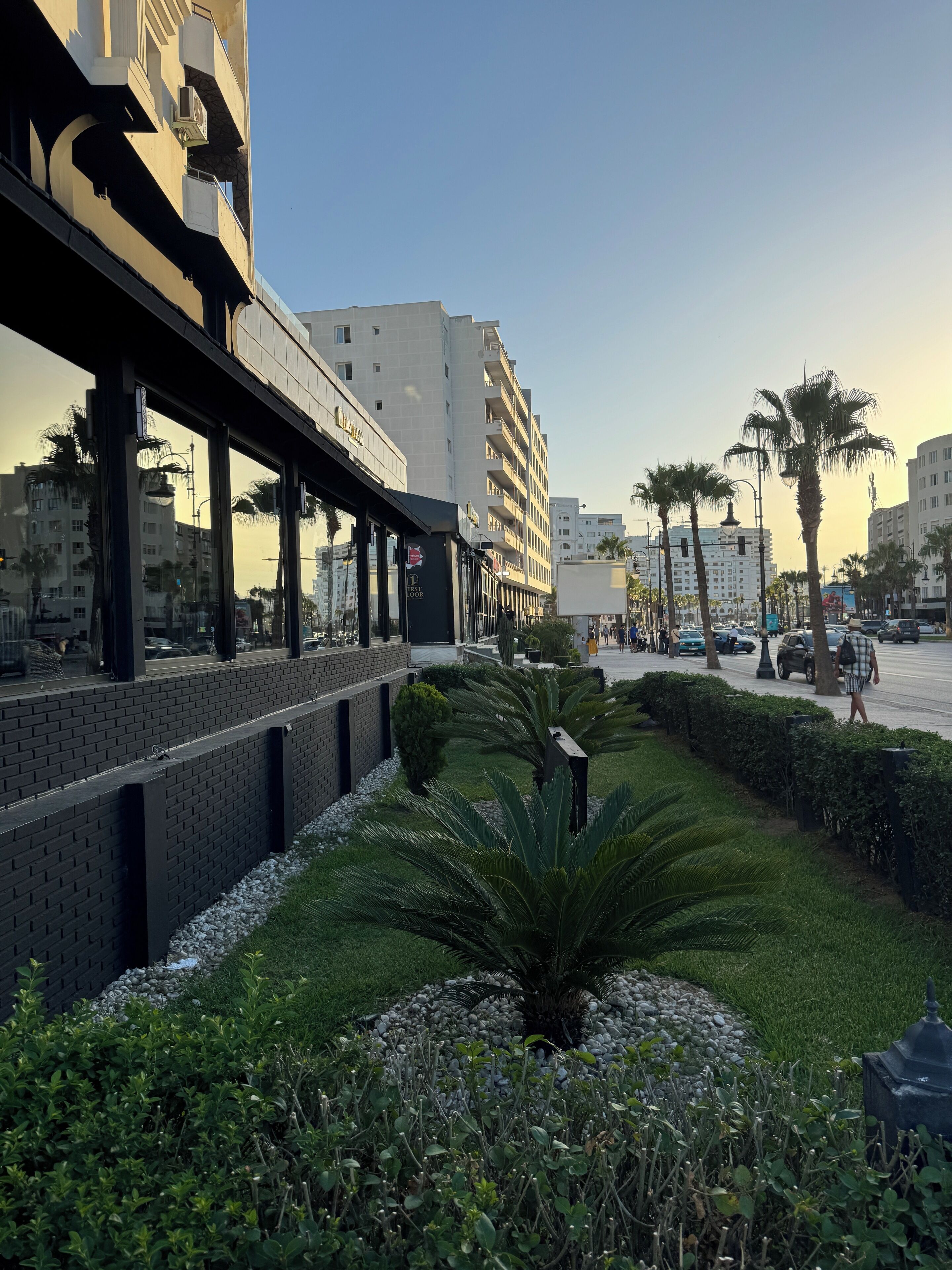 A modern hotel with a rooftop terrace, a well-maintained garden with palm trees, and a view of the cityscape.