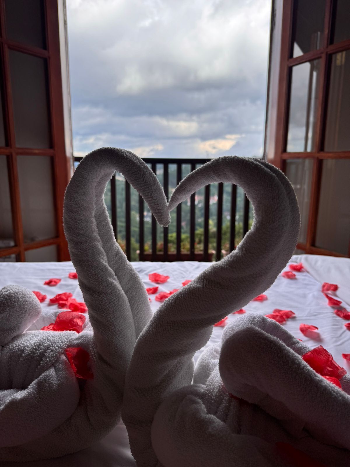 Premium Twin Room, Mountain View