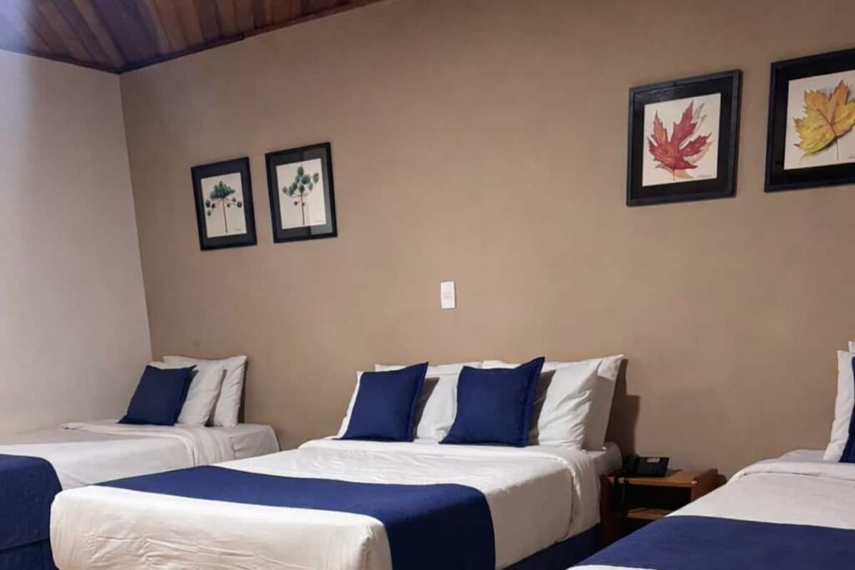 Neljän hengen standard-huone