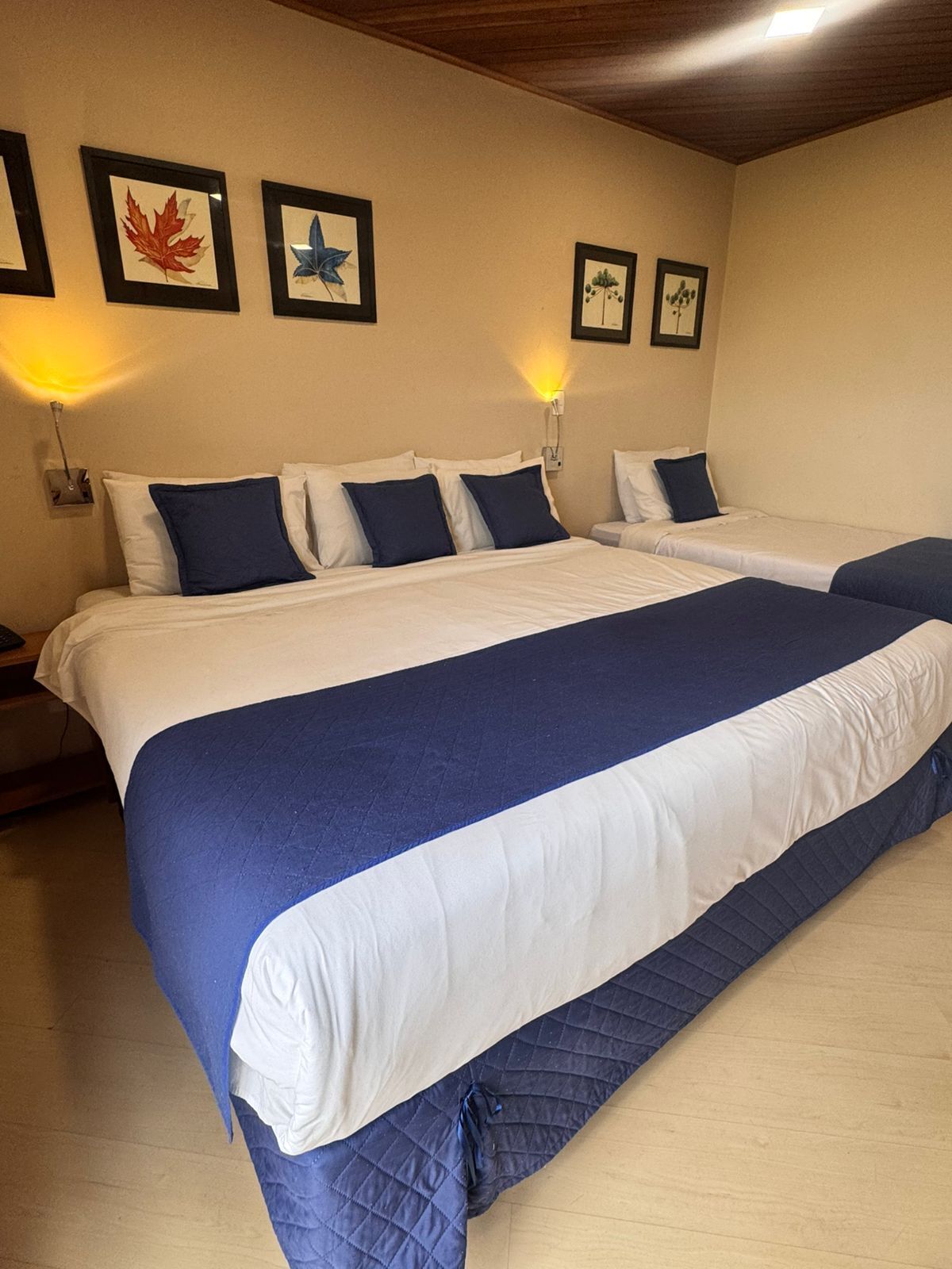 Kolmen hengen superior-huone, vuoristonäköala