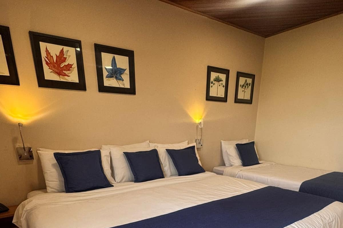 Kolmen hengen superior-huone, vuoristonäköala