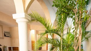 A courtyard with a palm tree, a concrete bench, and a tiled floor.
