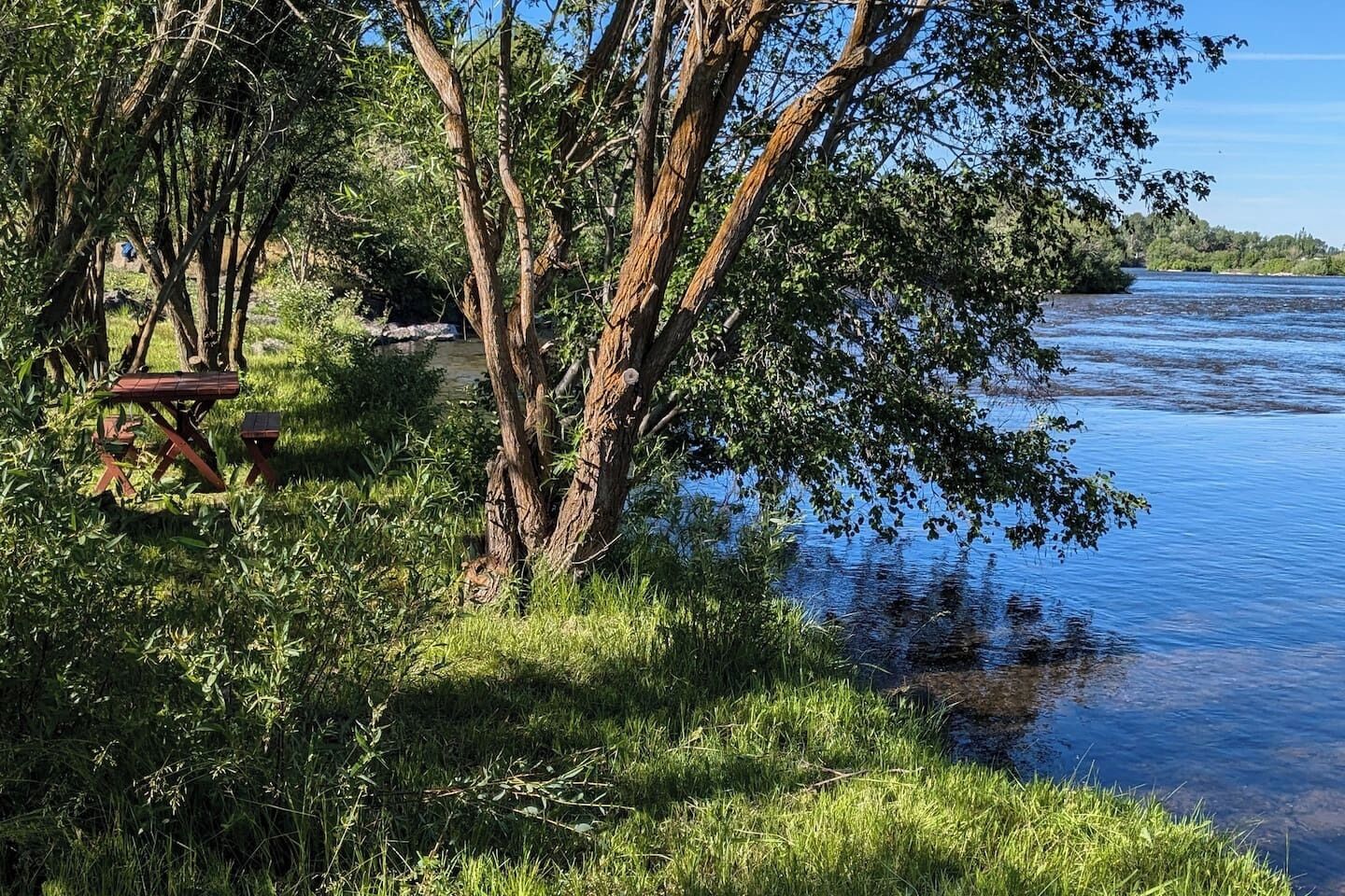 A riverside picnic area with a bench and picnic table, surrounded by trees and grass.
