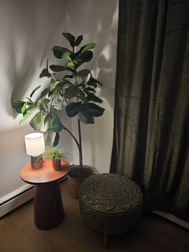 Stay EverGreen-Perfect for travelers, 2BDRM, 1BATH