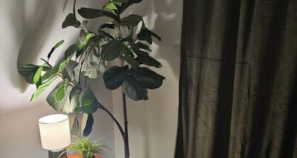 Stay EverGreen-Perfect for travelers, 2BDRM, 1BATH