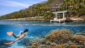 A diver underwater near a coral reef with a resort building in the background.