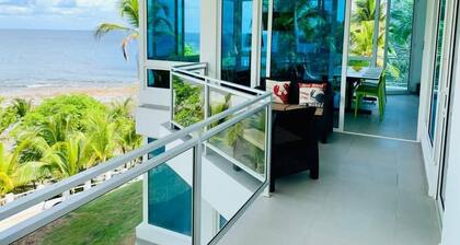 Ocean View Villa with AC + Starlink + BBQ + Private Beach + Kitchen + Parking
