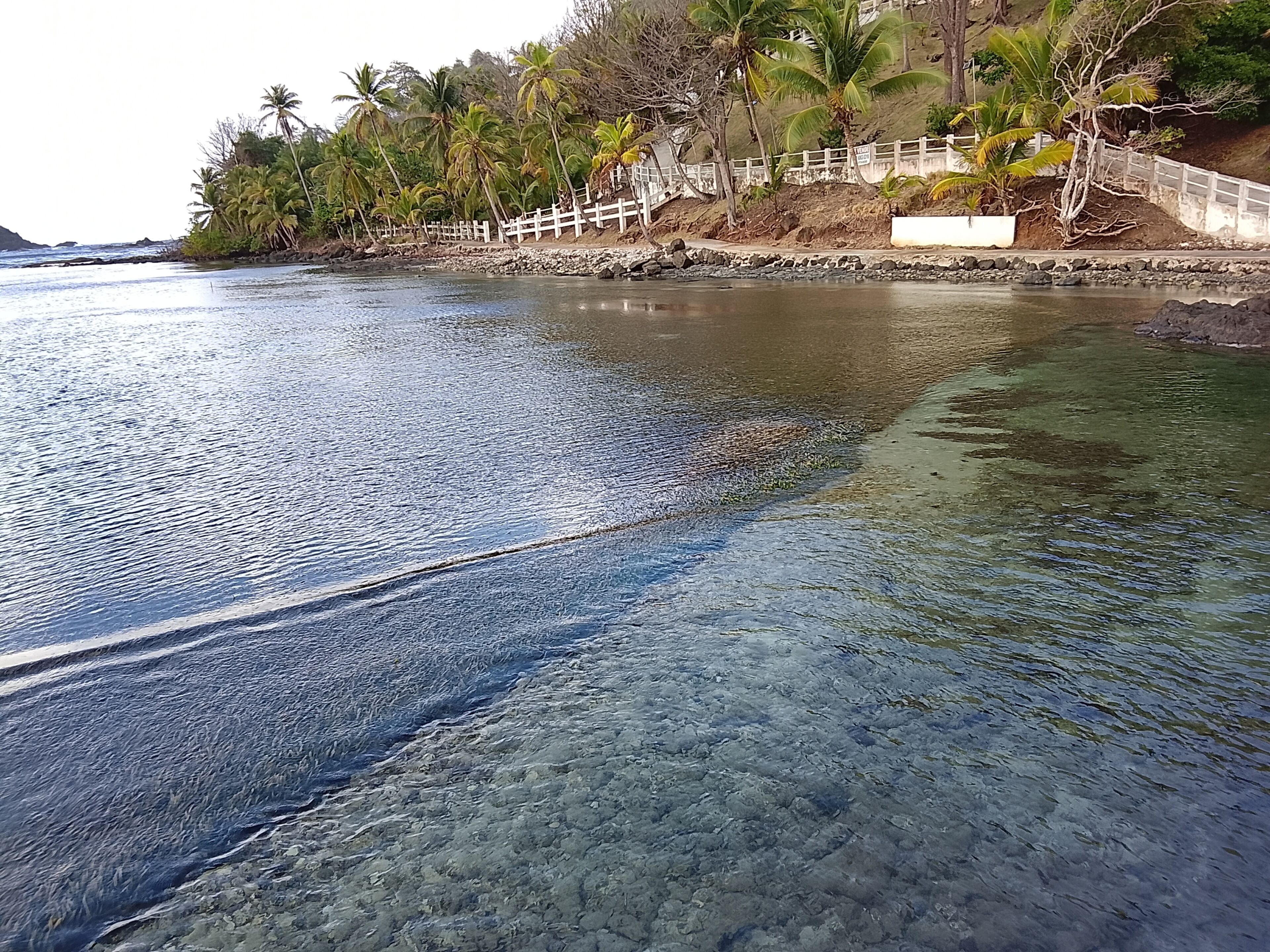 Une zone côtière caractérisée par une eau claire, une clôture blanche et des palmiers.