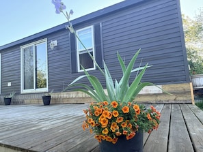 Et hus med mørk facadebeklædning, en træterrasse og en potteplante med orange blomster.