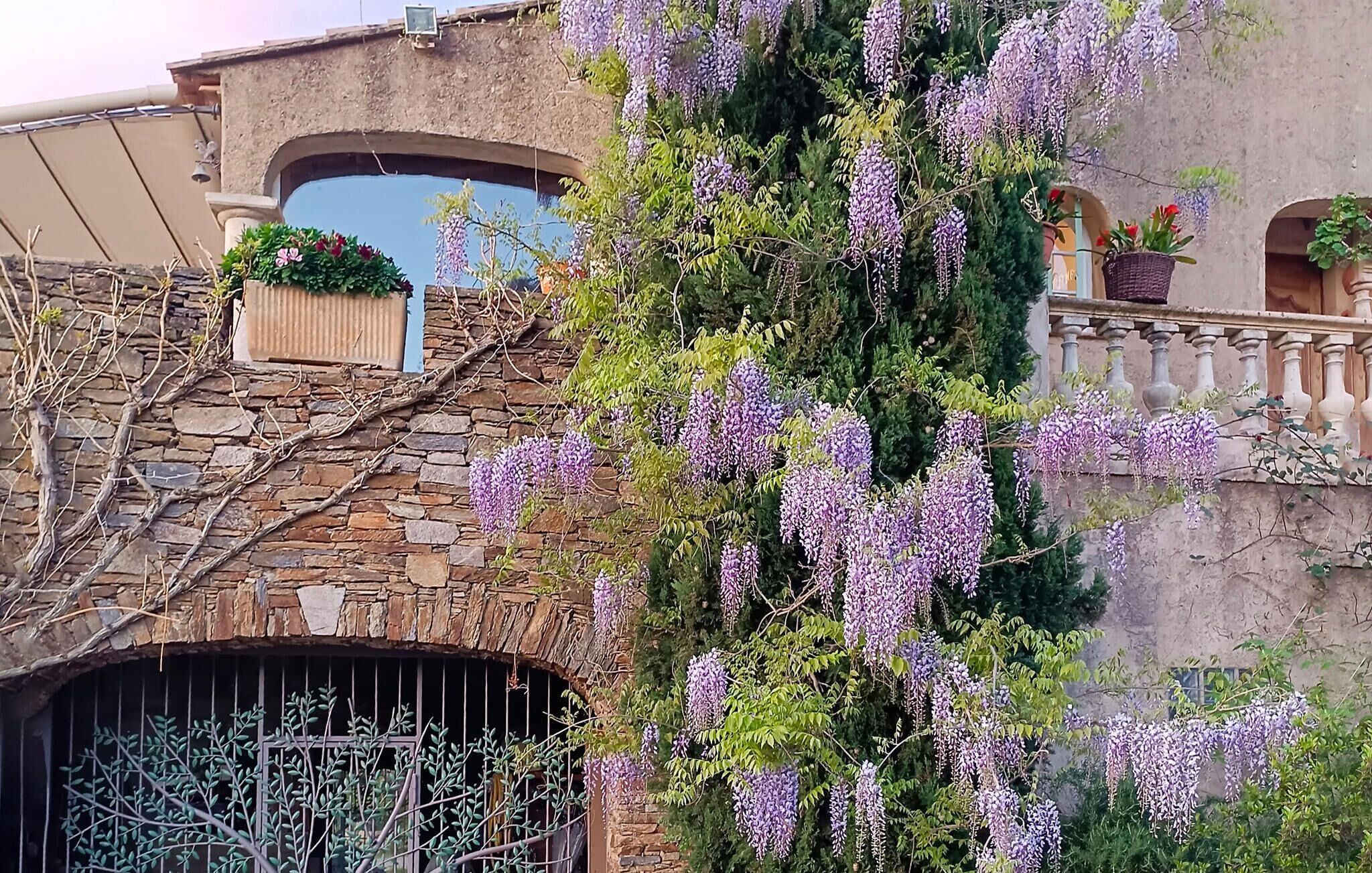Detalle exterior