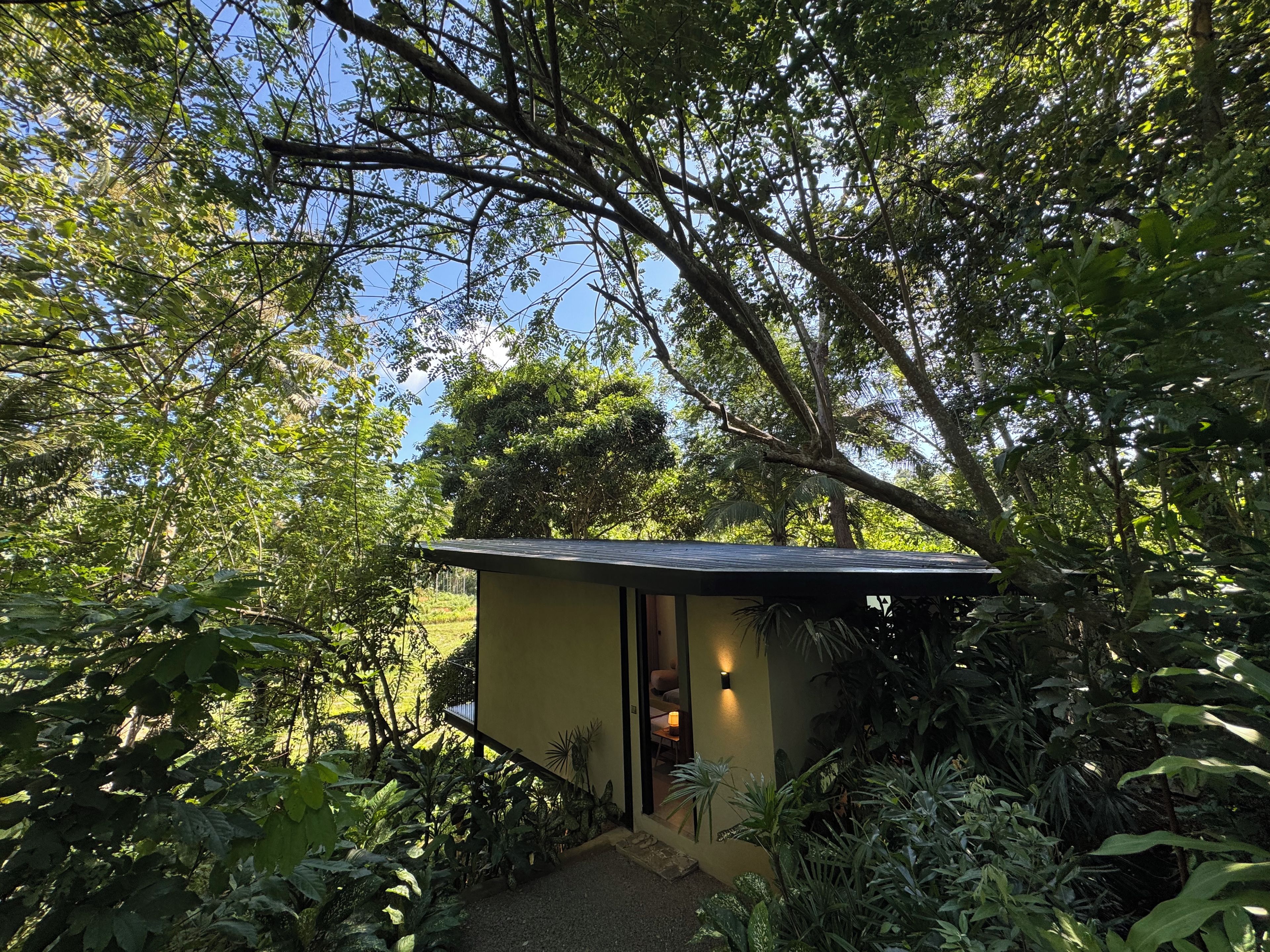A small, single-story building with a sloped roof, surrounded by dense foliage and trees.